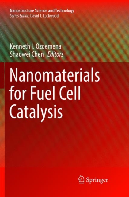 Nanomaterials for Fuel Cell Catalysis, Paperback / softback Book