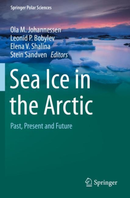 Sea Ice in the Arctic : Past, Present and Future, Paperback / softback Book