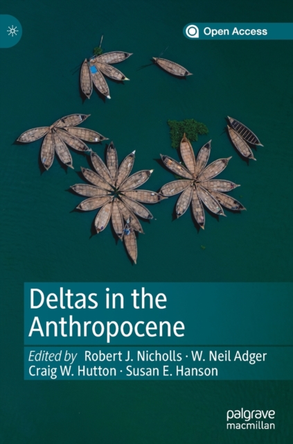 Deltas in the Anthropocene, Hardback Book