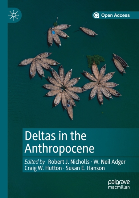 Deltas in the Anthropocene, Paperback / softback Book