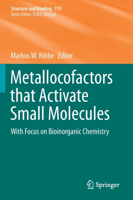 Metallocofactors that Activate Small Molecules : With Focus on Bioinorganic Chemistry, Paperback / softback Book
