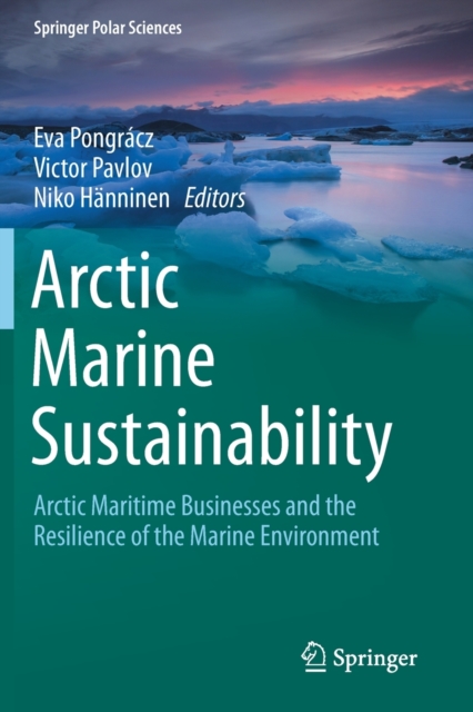 Arctic Marine Sustainability : Arctic Maritime Businesses and the Resilience of the Marine Environment, Paperback / softback Book