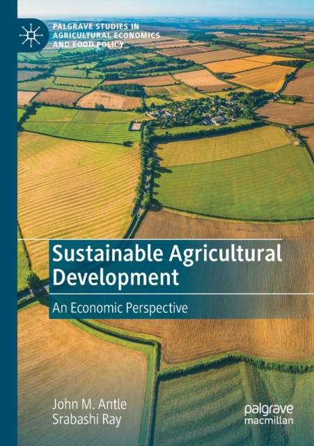Sustainable Agricultural Development : An Economic Perspective, Paperback / softback Book