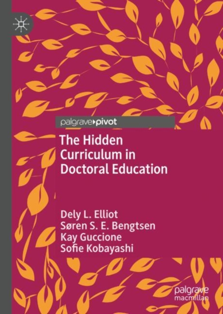 The Hidden Curriculum in Doctoral Education, Hardback Book