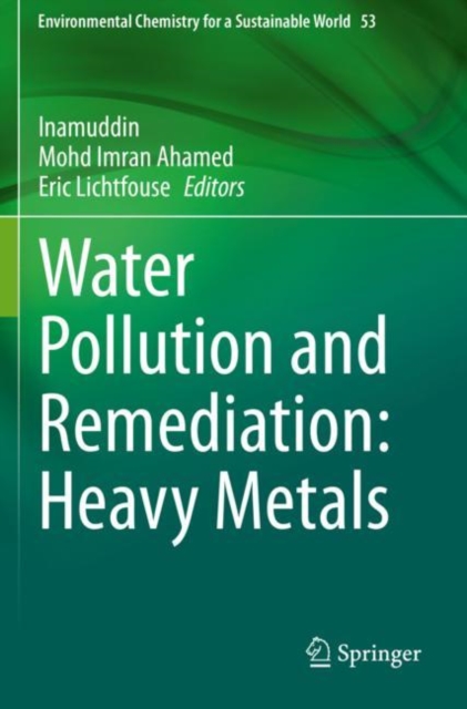 Water Pollution and Remediation: Heavy Metals, Paperback / softback Book