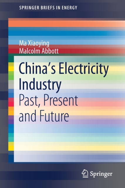 China’s Electricity Industry : Past, Present and Future, Paperback / softback Book