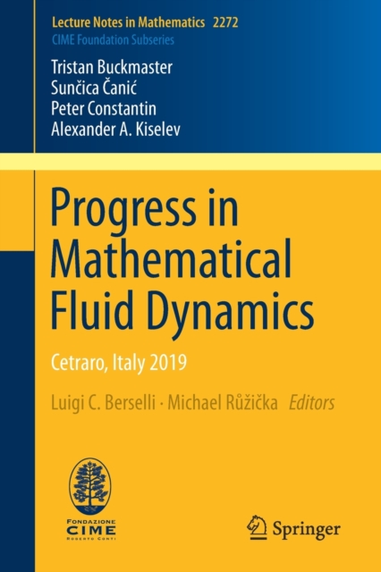 Progress in Mathematical Fluid Dynamics : Cetraro, Italy 2019, Paperback / softback Book