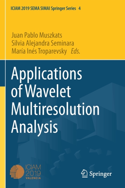 Applications of Wavelet Multiresolution Analysis, Paperback / softback Book
