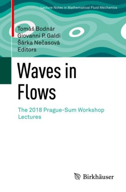 Waves in Flows : The 2018 Prague-Sum Workshop Lectures, Paperback / softback Book