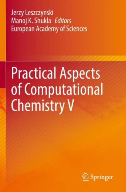 Practical Aspects of Computational Chemistry V, Paperback / softback Book