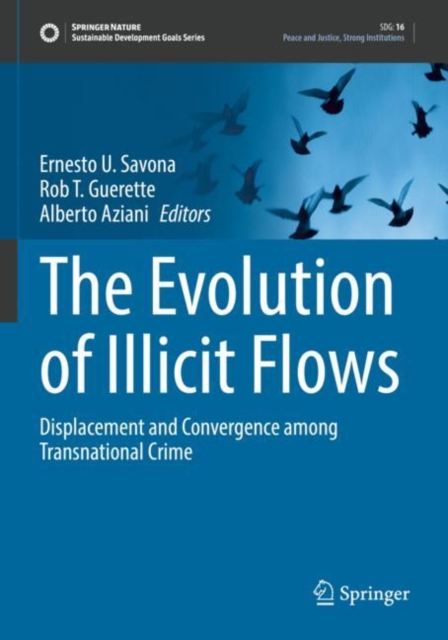 The Evolution of Illicit Flows : Displacement and Convergence among Transnational Crime, Paperback / softback Book