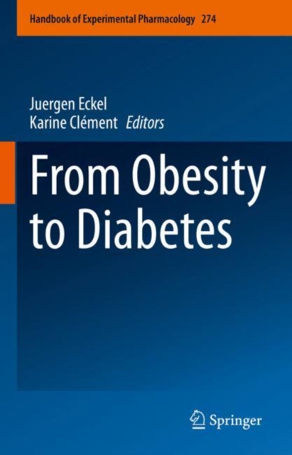 From Obesity to Diabetes, Hardback Book