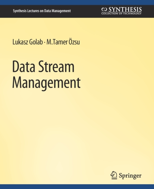 Data Stream Management, Paperback / softback Book