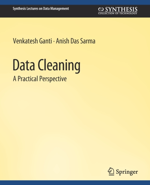 Data Cleaning, Paperback / softback Book