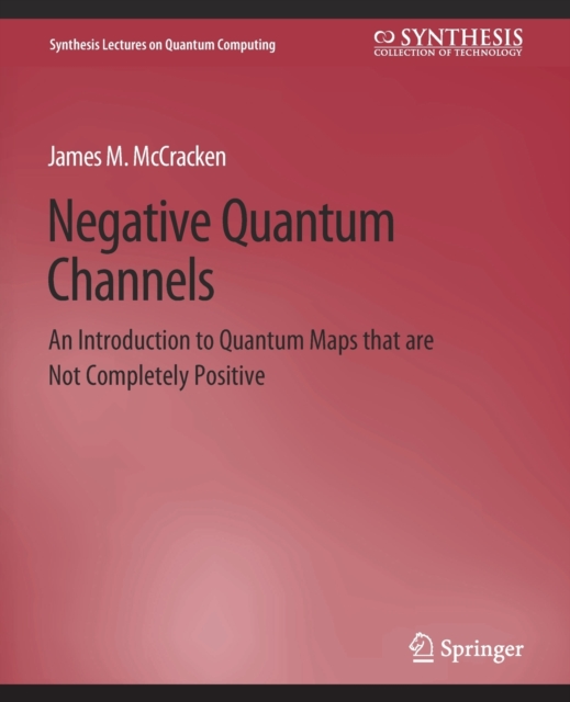 Negative Quantum Channels, Paperback / softback Book