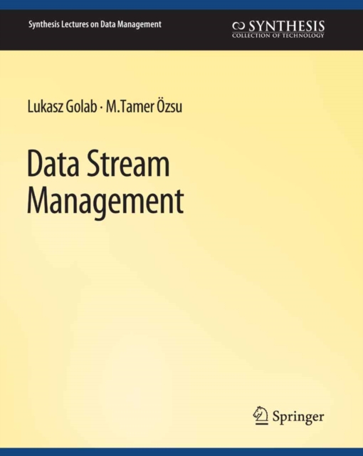 Data Stream Management, PDF eBook