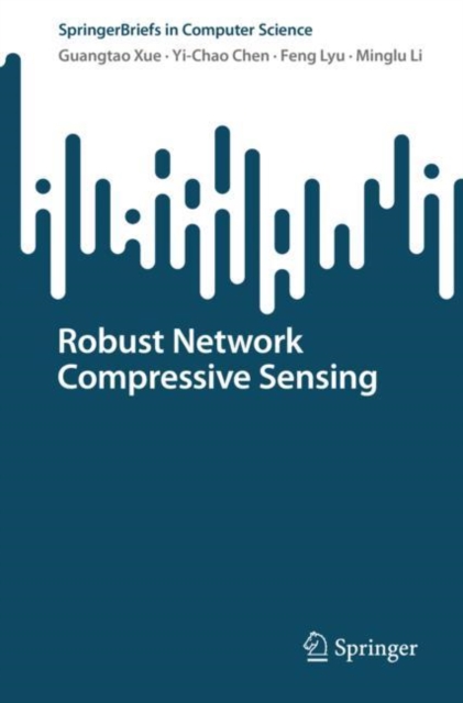Robust Network Compressive Sensing, Paperback / softback Book