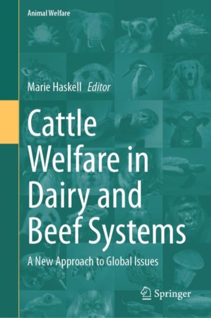 Cattle Welfare in Dairy and Beef Systems : A New Approach to Global Issues, Hardback Book