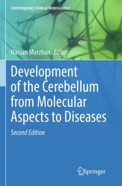 Development of the Cerebellum from Molecular Aspects to Diseases, Paperback / softback Book