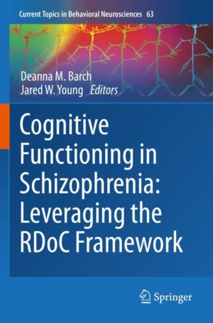 Cognitive Functioning in Schizophrenia:  Leveraging the RDoC Framework, Paperback / softback Book