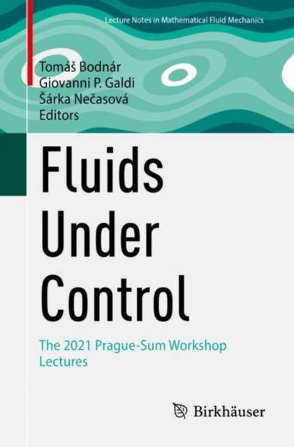 Fluids Under Control : The 2021 Prague-Sum Workshop Lectures, Paperback / softback Book