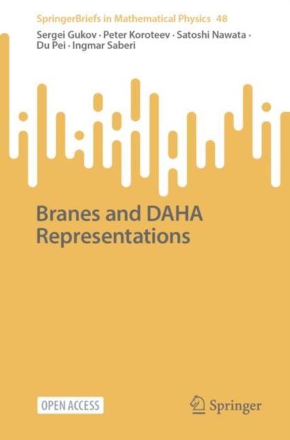 Branes and DAHA Representations, Paperback / softback Book