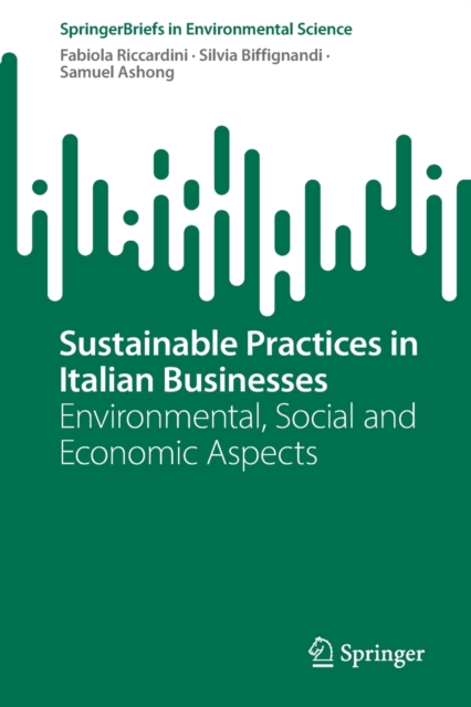 Sustainable Practices in Italian Businesses : Environmental, Social and Economic Aspects, Paperback / softback Book