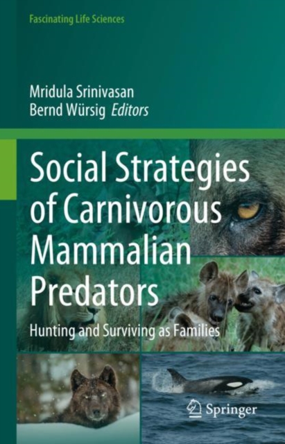 Social Strategies of Carnivorous Mammalian Predators : Hunting and Surviving as Families, Hardback Book