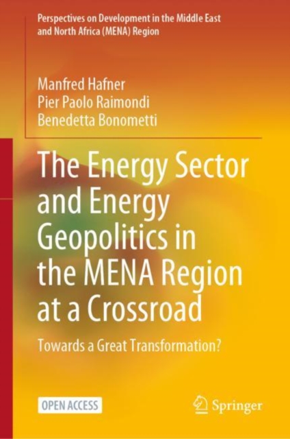 The Energy Sector and Energy Geopolitics in the MENA Region at a Crossroad : Towards a Great Transformation?, Hardback Book