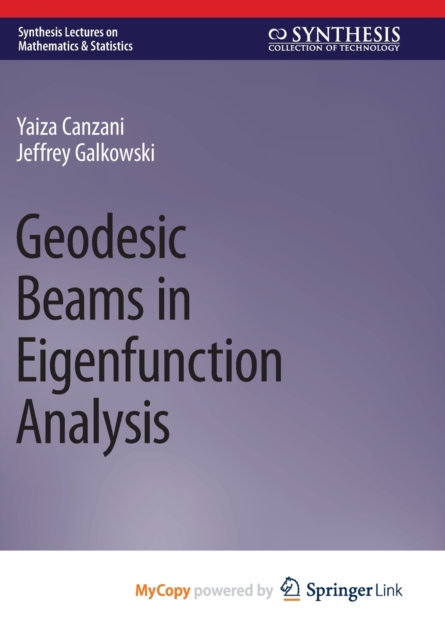 Geodesic Beams in Eigenfunction Analysis, Paperback Book