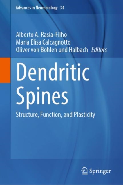 Dendritic Spines : Structure, Function, and Plasticity, Hardback Book