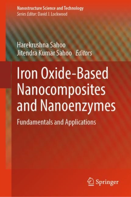 Iron Oxide-Based Nanocomposites and Nanoenzymes : Fundamentals and Applications, Hardback Book