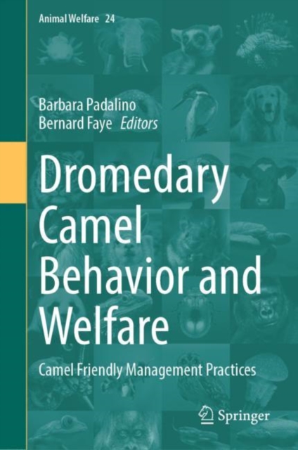 Dromedary Camel Behavior and Welfare : Camel Friendly Management Practices, Hardback Book