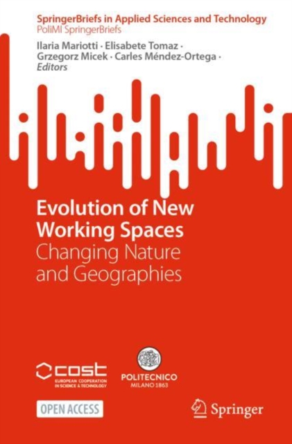 Evolution of New Working Spaces : Changing Nature and Geographies, Paperback / softback Book