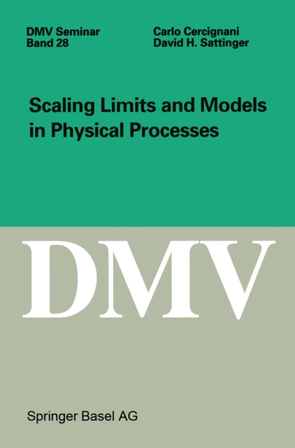 Scaling Limits and Models in Physical Processes, PDF eBook