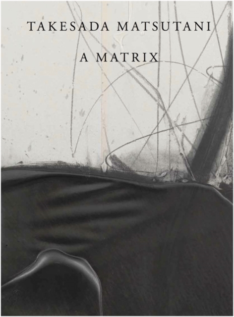 Takesada Matsutani : A Matrix, Hardback Book