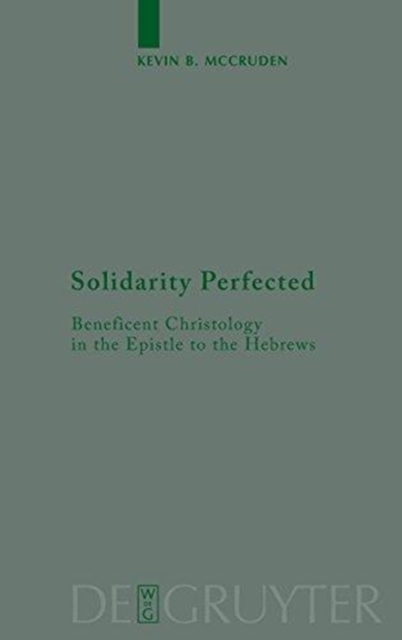 Solidarity Perfected : Beneficent Christology in the Epistle to the Hebrews, Hardback Book