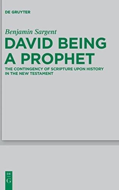 David Being a Prophet : The Contingency of Scripture upon History in the New Testament, Hardback Book