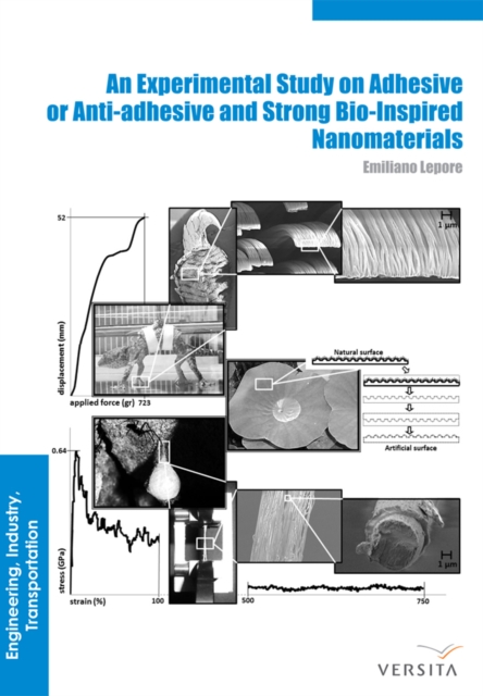 An Experimental Study on Adhesive or Anti-adhesive, Bio-inspired Experimental Nanomaterials, EPUB eBook