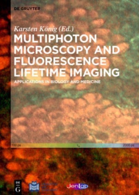 Multiphoton Microscopy and Fluorescence Lifetime Imaging : Applications in Biology and Medicine, Hardback Book