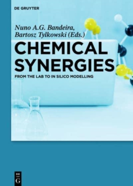 Chemical Synergies : From the Lab to In Silico Modelling, Hardback Book
