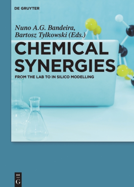 Chemical Synergies : From the Lab to In Silico Modelling, EPUB eBook