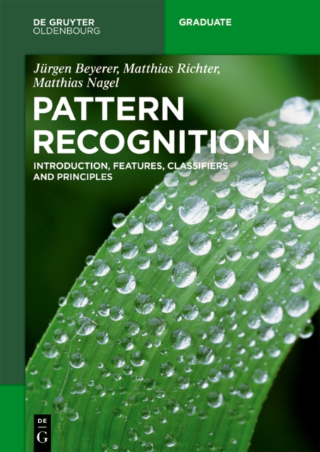 Pattern Recognition : Introduction, Features, Classifiers and Principles, EPUB eBook