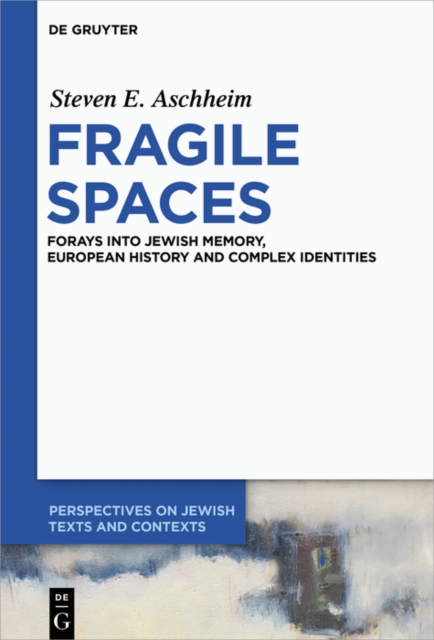 Fragile Spaces : Forays into Jewish Memory, European History and Complex Identities, EPUB eBook