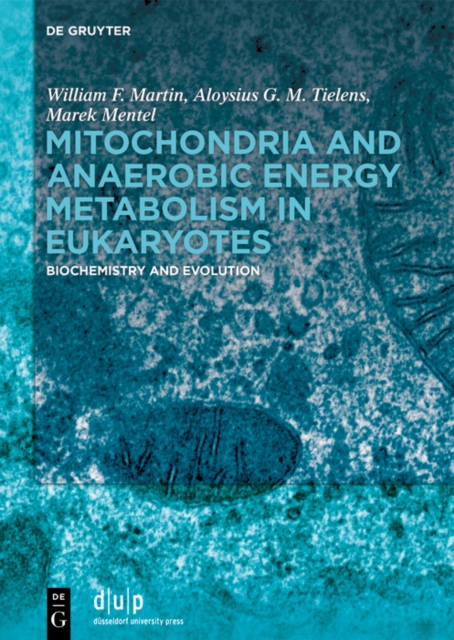 Mitochondria and Anaerobic Energy Metabolism in Eukaryotes : Biochemistry and Evolution, EPUB eBook