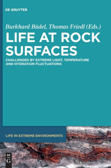 Life at Rock Surfaces : Challenged by Extreme Light, Temperature and Hydration Fluctuations, Hardback Book
