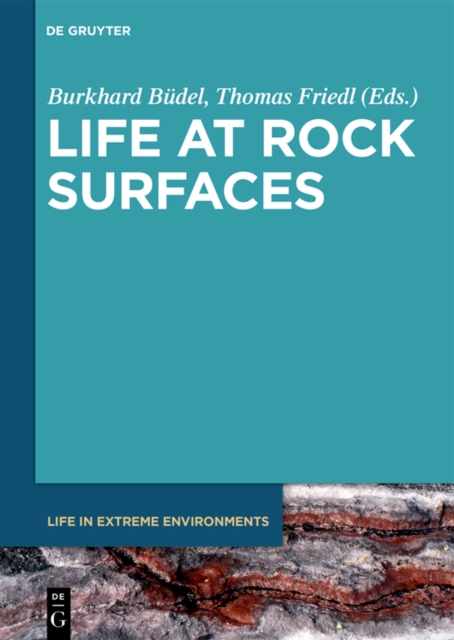 Life at Rock Surfaces : Challenged by Extreme Light, Temperature and Hydration Fluctuations, EPUB eBook