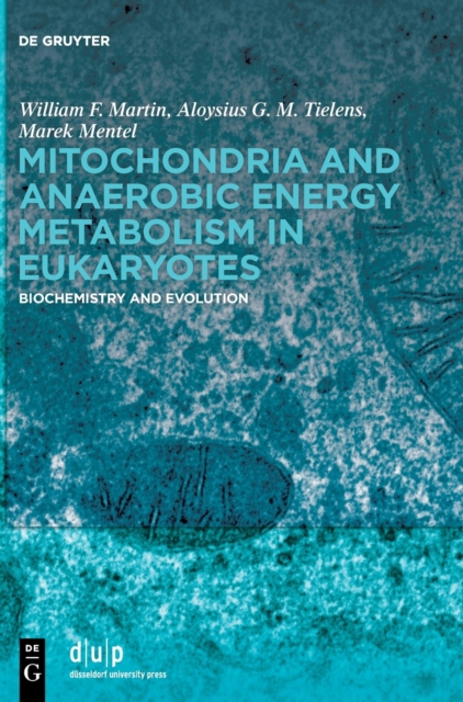 Mitochondria and Anaerobic Energy Metabolism in Eukaryotes : Biochemistry and Evolution, Hardback Book