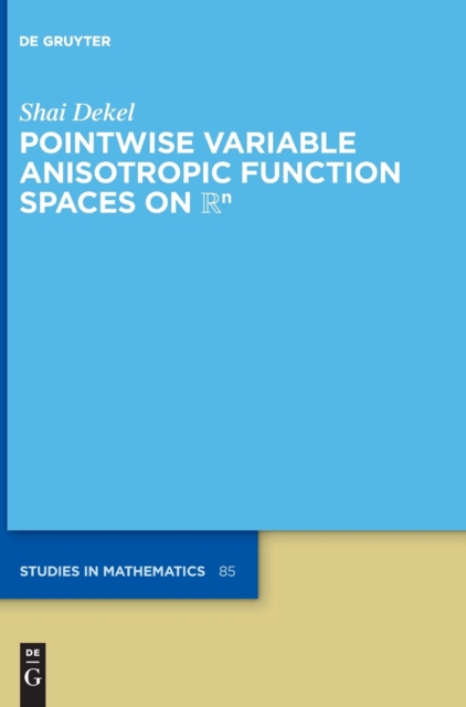 Pointwise Variable Anisotropic Function Spaces on  n, Hardback Book