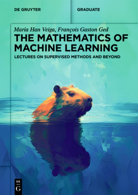 The Mathematics of Machine Learning : Lectures on Supervised Methods and Beyond, EPUB eBook